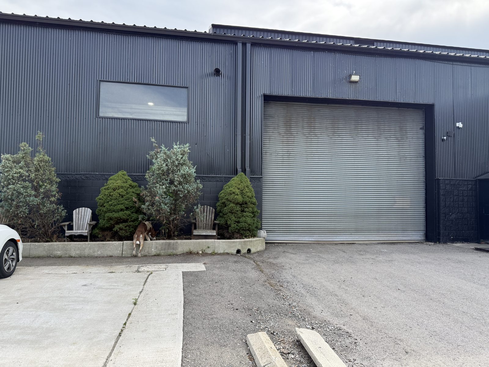 The existing entrance today: a dark corrugated-steel frontage with a roller shutter, a window to the left and a planter with shrubs